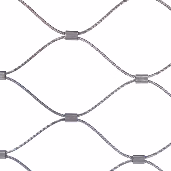 SS304 Protection Rope Zoo Animal X